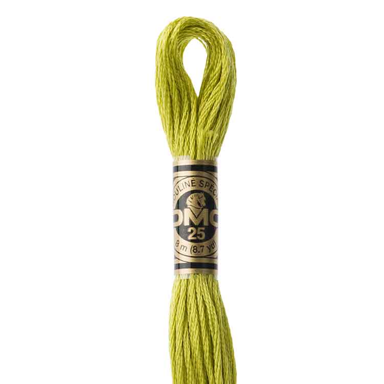 DMC Stranded Cotton Thread Colour #166 Moss Green Medium Light DMC Stranded Cotton Thread Colour #166 Moss Green Medium Light