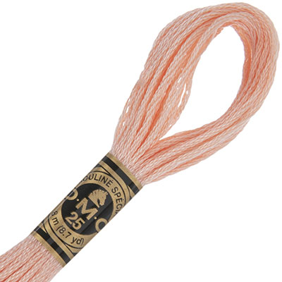 DMC Stranded Cotton Thread Colour #353 Peach DMC Stranded Cotton Thread Colour #353 Peach