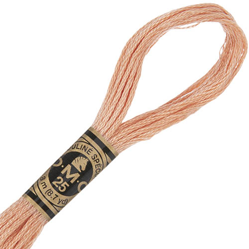 DMC Stranded Cotton Thread Colour #3771 Terra Cotta Ultra Very Light DMC Stranded Cotton Thread Colour #3771 Terra Cotta Ultra Very Light