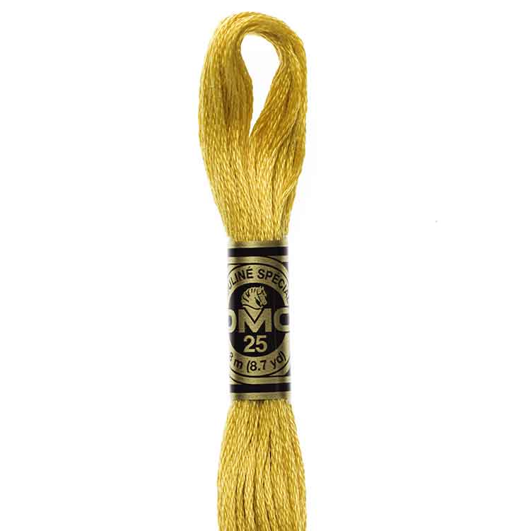 DMC Stranded Cotton Thread Colour #3820 Straw Dark