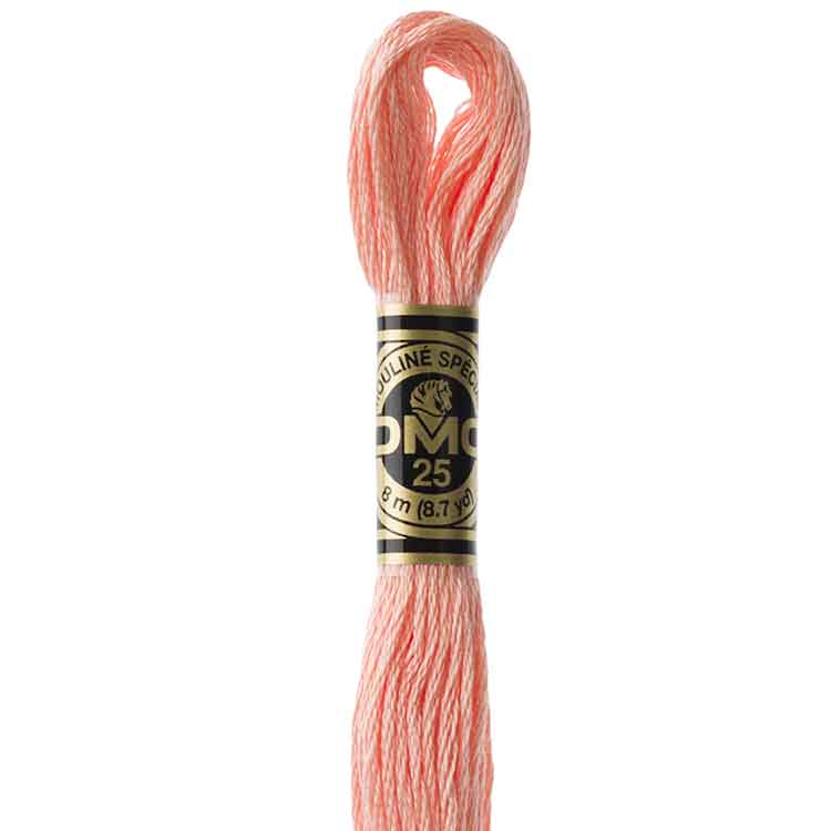 DMC Stranded Cotton Thread Colour #3824 Apricot Light