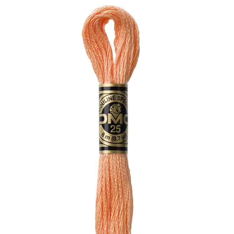 DMC Stranded Cotton Thread Colour #3825 Pumpkin Pale DMC Stranded Cotton Thread Colour #3825 Pumpkin Pale