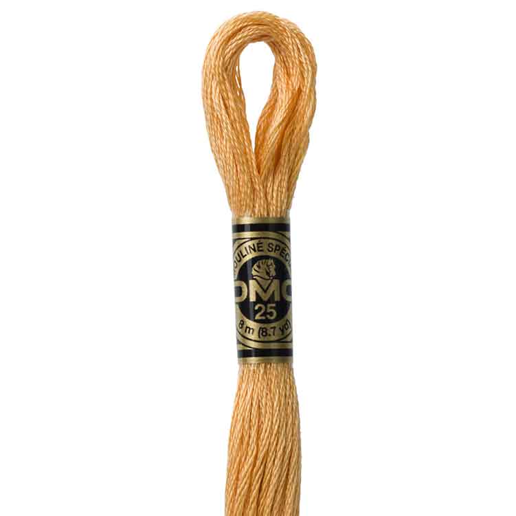 DMC Stranded Cotton Thread Colour #3827 Golden Brown Pale DMC Stranded Cotton Thread Colour #3827 Golden Brown Pale
