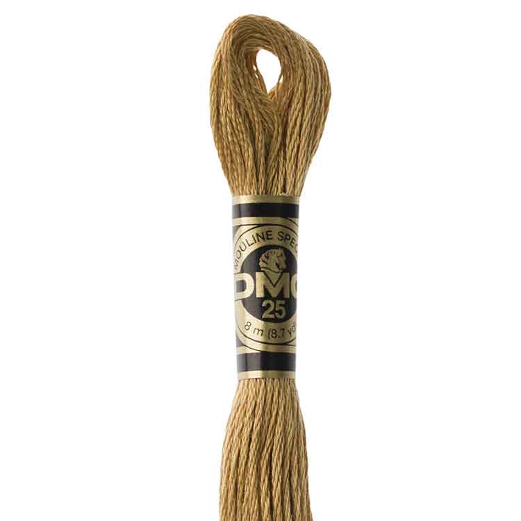DMC Stranded Cotton Thread Colour #3828 Hazelnut Brown DMC Stranded Cotton Thread Colour #3828 Hazelnut Brown