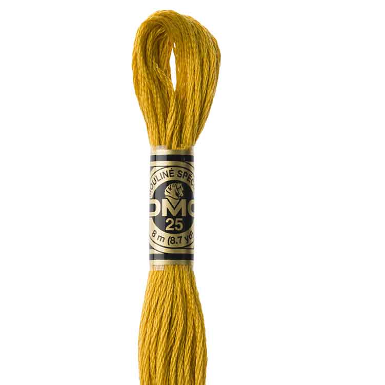 DMC Stranded Cotton Thread Colour #3852 Straw Very Dark DMC Stranded Cotton Thread Colour #3852 Straw Very Dark