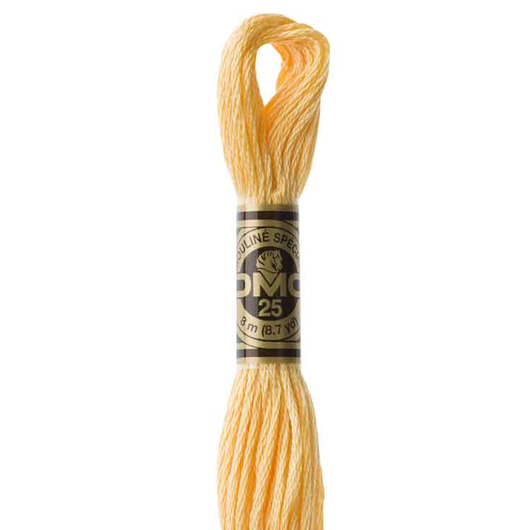 DMC Stranded Cotton Thread Colour #3855 Autumn Gold Light DMC Stranded Cotton Thread Colour #3855 Autumn Gold Light