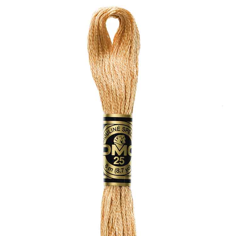 DMC Stranded Cotton Thread Colour #437 Tan Light DMC Stranded Cotton Thread Colour #437 Tan Light