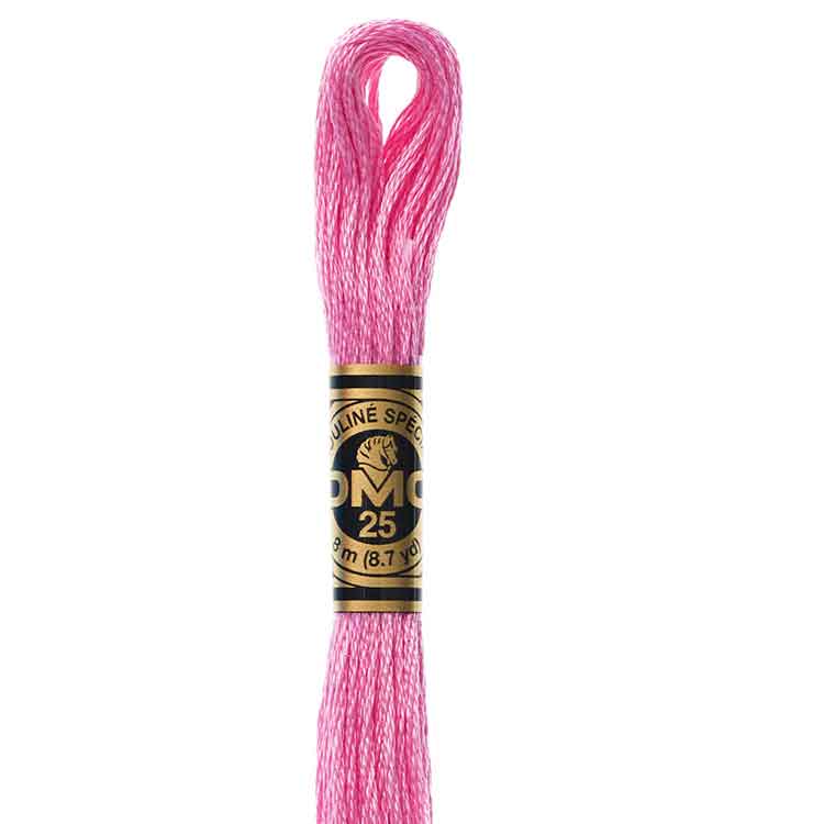 DMC Stranded Cotton Thread Colour #603 Cranberry