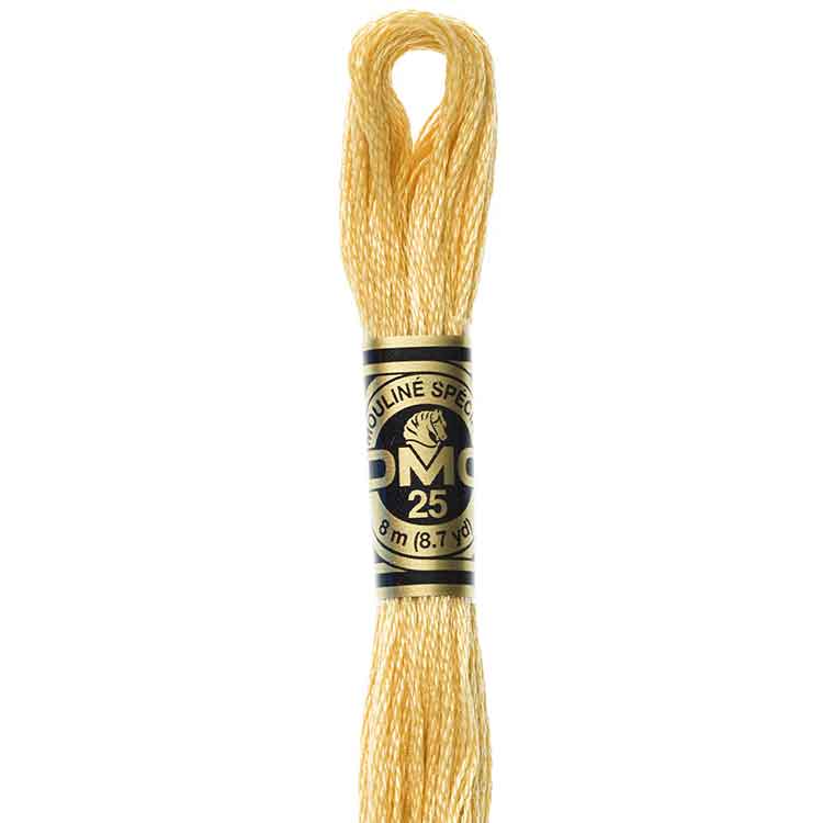 DMC Stranded Cotton Thread Colour #676 Old Gold Light DMC Stranded Cotton Thread Colour #676 Old Gold Light