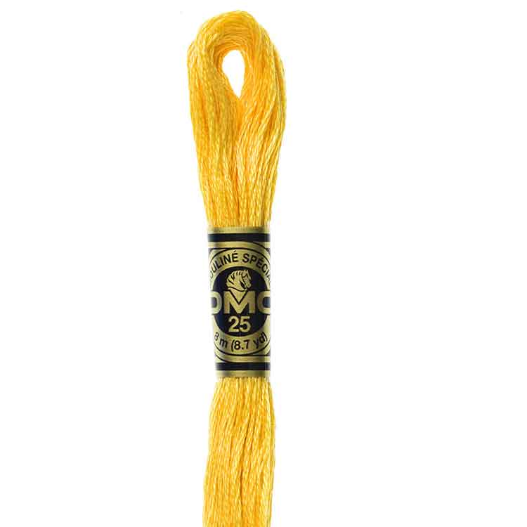 DMC Stranded Cotton Thread Colour #725 Topaz Medium Light DMC Stranded Cotton Thread Colour #725 Topaz Medium Light