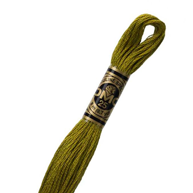 DMC Stranded Cotton Thread Colour #731 Olive Green Dark DMC Stranded Cotton Thread Colour #731 Olive Green Dark