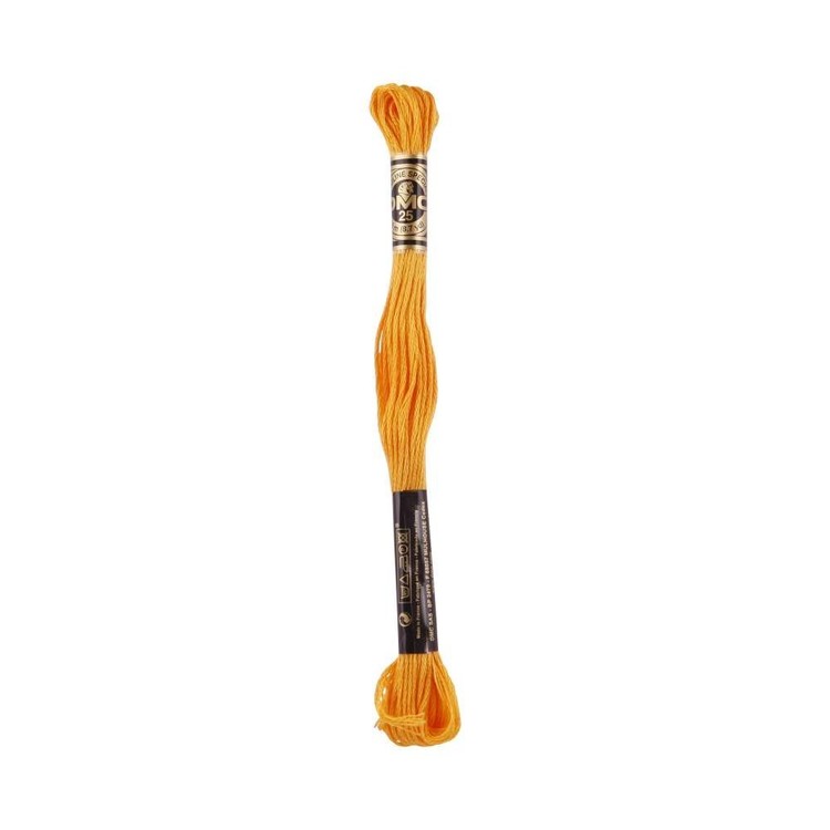 DMC Stranded Cotton Thread Colour #742 Tangerine Light