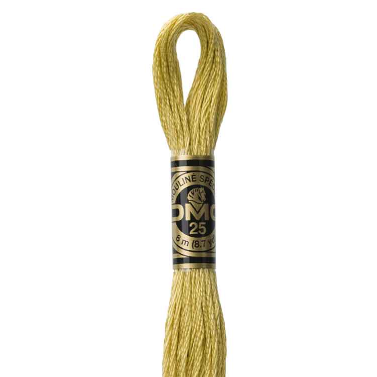 DMC Stranded Cotton Thread Colour #834 Golden Olive Very Light DMC Stranded Cotton Thread Colour #834 Golden Olive Very Light