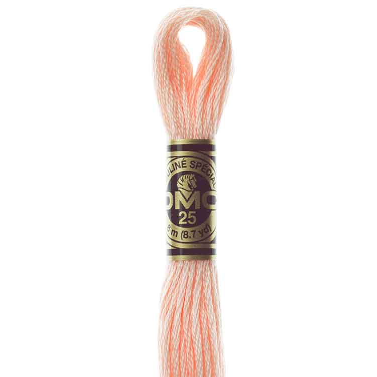 DMC Stranded Cotton Thread Colour #967 Apricot Very Light DMC Stranded Cotton Thread Colour #967 Apricot Very Light