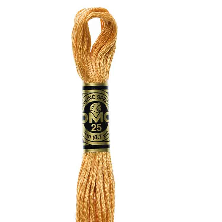 DMC Stranded Cotton Thread Colour #977 Golden Brown Light